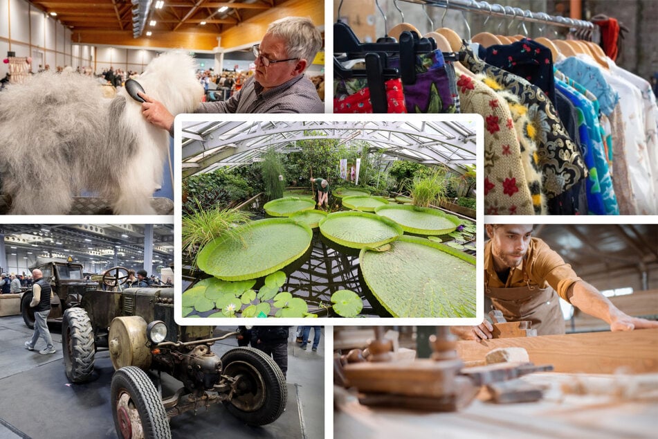 Keinen Plan für Euren Sonntag? Diese Events hat Magdeburg zu bieten