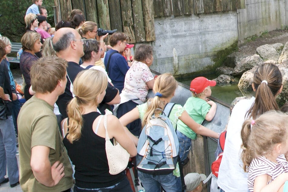 Laut den Betreibern bestand keine Gefahr für anwesende Zoobesucher. (Symbolbild)