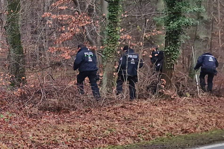 "Zahlreiche Hinweise" nach Schädelfund in Brandenburg