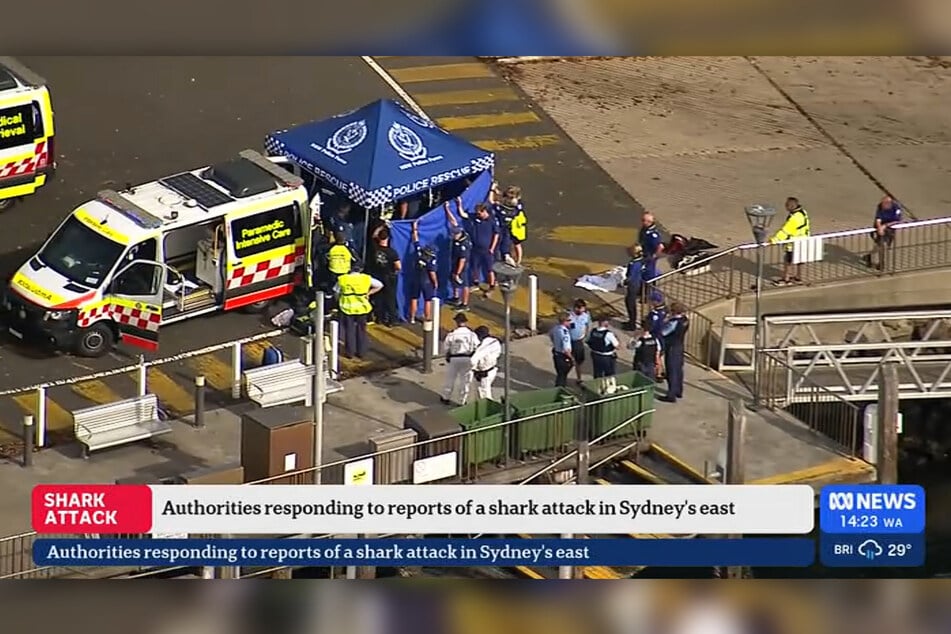 Ausschnitt aus einer ABC-Nachrichtensendung über den Jungen (†12), der zunächst in kritischem Zustand ins Krankenhaus eingeliefert wurde, wo er später verstarb.