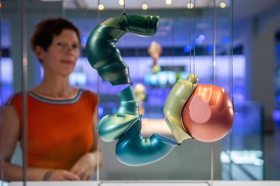 Künstlerin Beate Eismann (51) blickt auf eine ihrer Embryogehirn-Darstellungen.