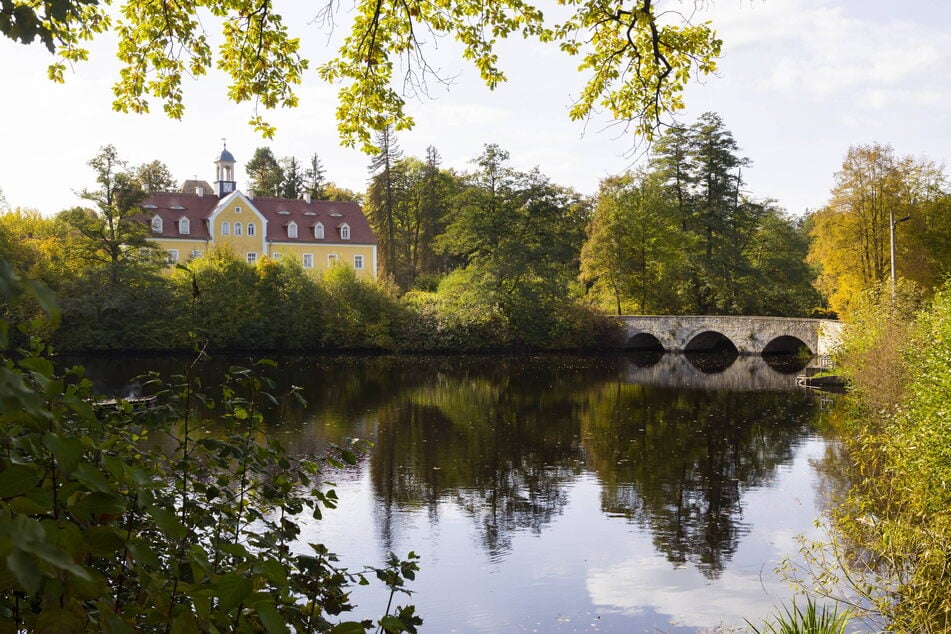Das geschichtsträchtige Jagdschloss Grillenburg liegt mitten im Tharandter Wald.