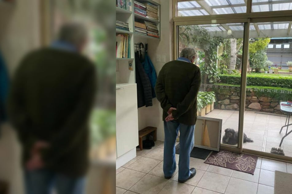 Gebannt wartet der Mann, wie der Hund wohl reagieren wird.