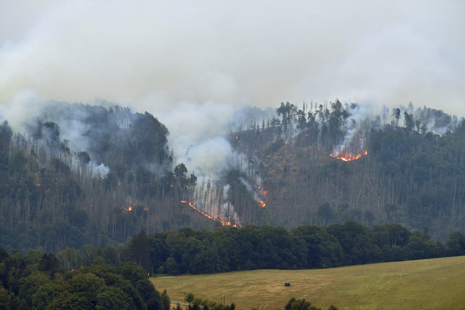 Rauch und Flammen wüten während eines Waldbrandes im Nationalpark Böhmische Schweiz. (Archivbild)