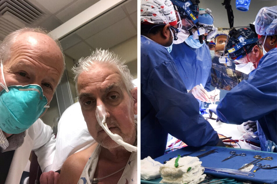 Surgeon Dr. Bartley Griffith (l.) with patient David Bennett Sr. after a pig heart transplant (r.) was performed by surgeons at the University of Maryland Medical Center back in January.