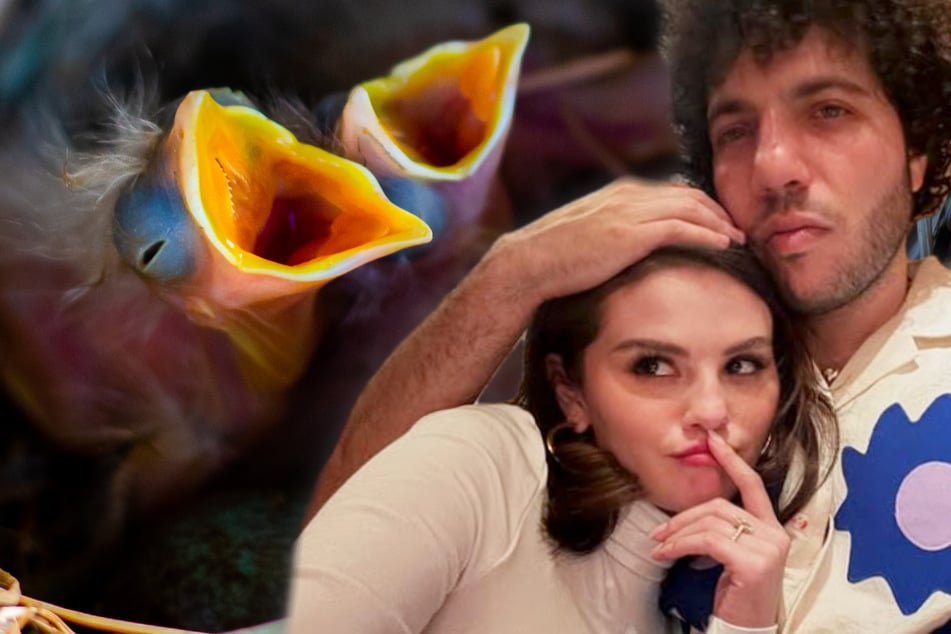 Vztahová krize kvůli bouchání? Benny Blanco to prozradil
