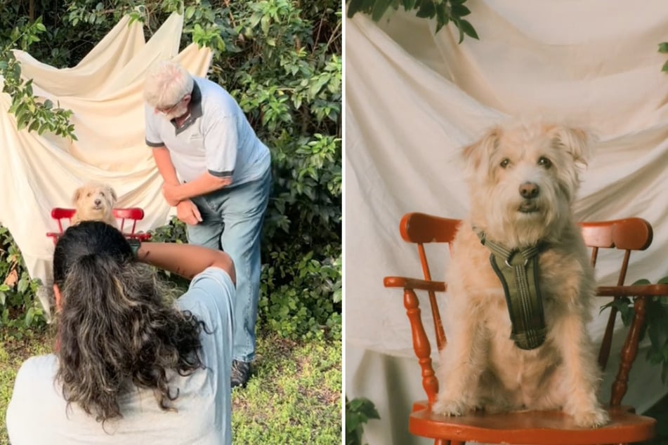 Die Ergebnisse des Hunde-Shootings brachten der Fotografin neue Klienten ein.