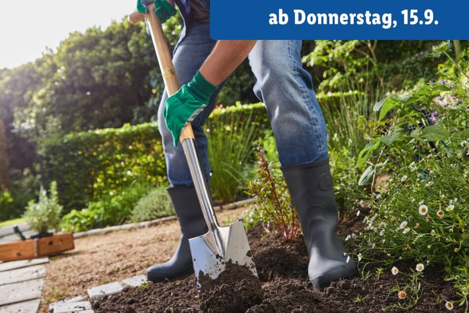 Einfach durchswipen und anklicken >>>>