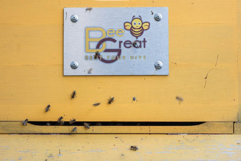Das Logo der Bienenvermietung prangt auf einem Bienenstock.