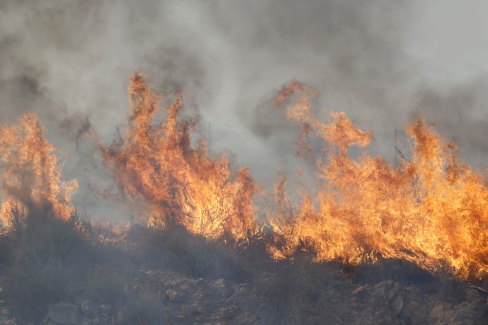 Riesige Feuerwände und dichter Rauch fegen durch die trockene Vegetation.