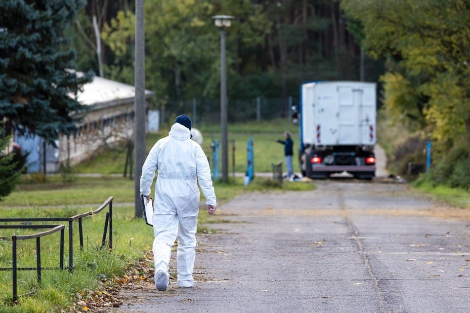 Auch in Brandenburg mussten Zehntausende infizierte Tiere getötet werden.