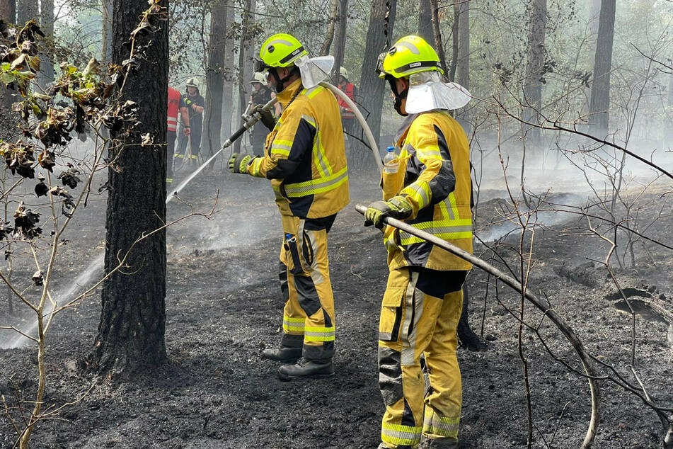 Waldbrände im Landkreis Ostprignitz-Ruppin halten die Feuerwehr auf Trab
