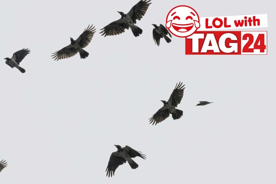 Joke of the Night for April 2, 2026: Flying with funny.