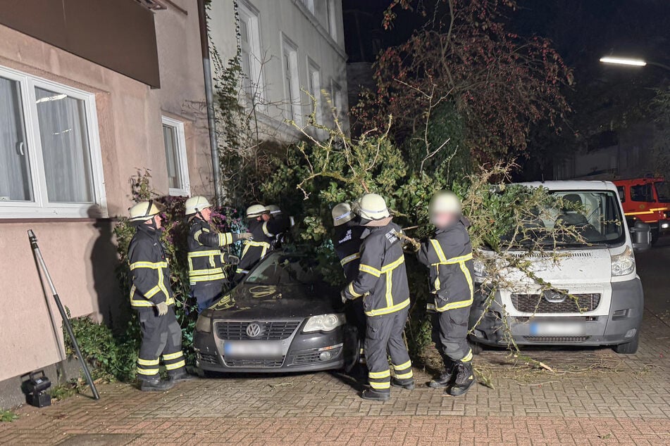 Die Hamburger Feuerwehr musste am Sonntagabend in Harburg Autos unter herabgefallenen Ästen befreien.