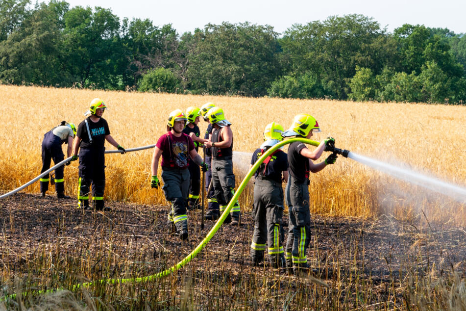 Feuerwehreinsatz im Landkreis Zwickau: Feld steht in Flammen