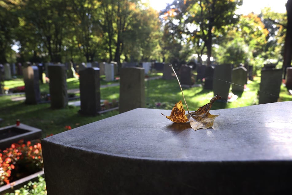 Sarglose Bestattungen fast überall erlaubt - doch werden sie genutzt?
