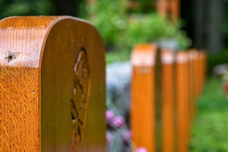 Eigentlich wird das Holz oben durch ein Blech vor Regen geschützt.