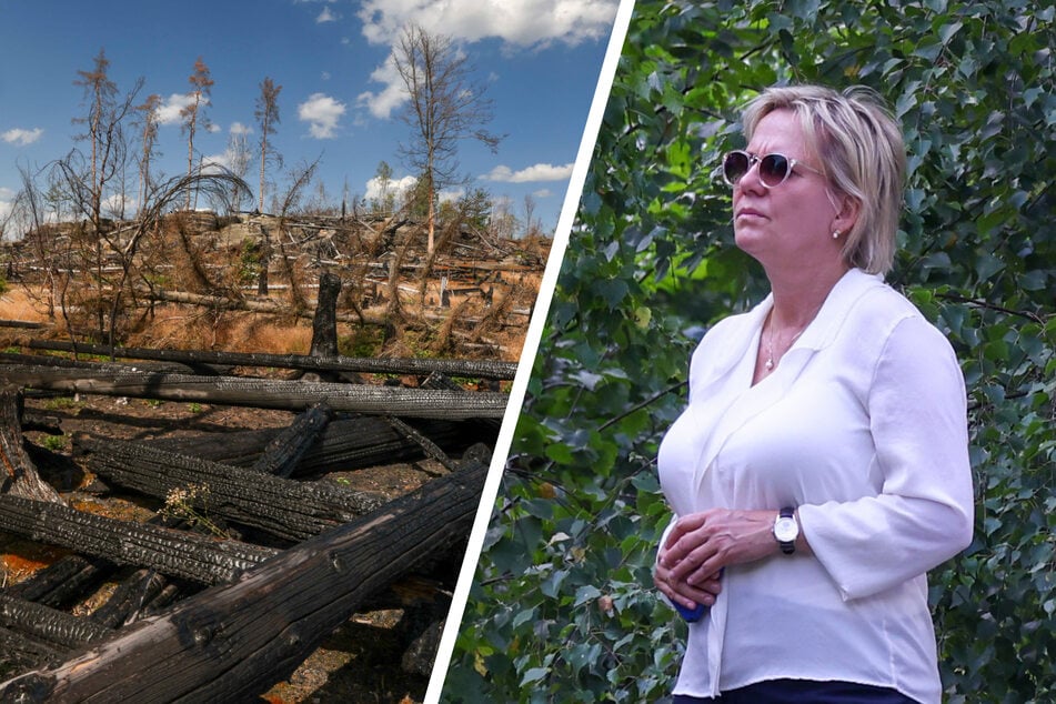 Ein Jahr nach dem Inferno: Ministerin besucht Nationalpark