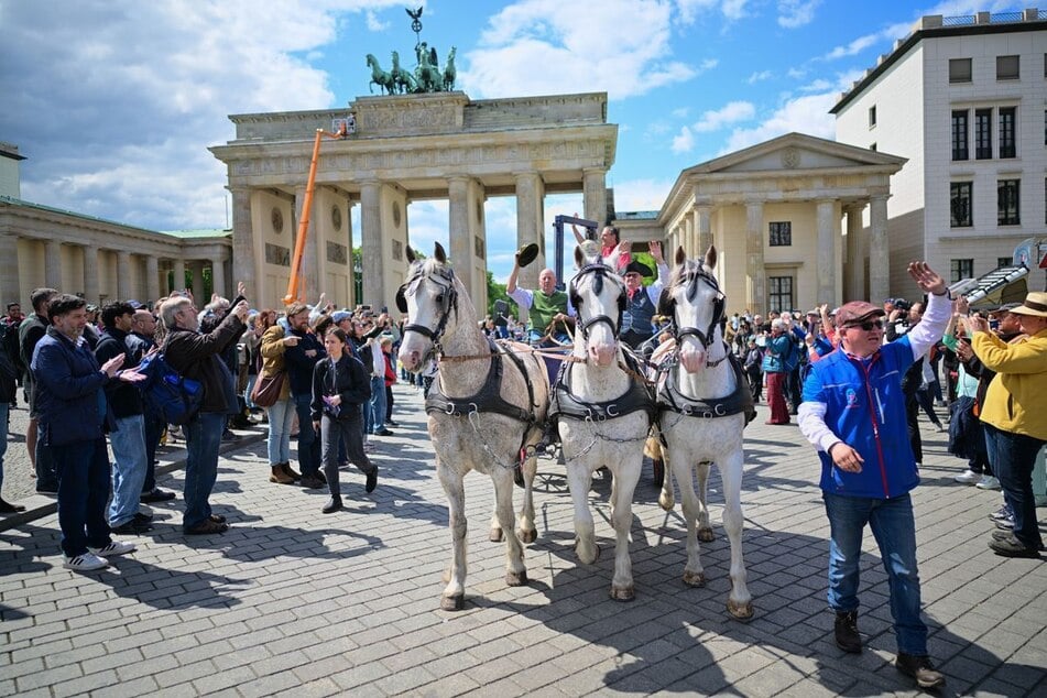 Die Kutschpferde starten die Reise vom Brandenburger Tor in Berlin nach Jerusalem.