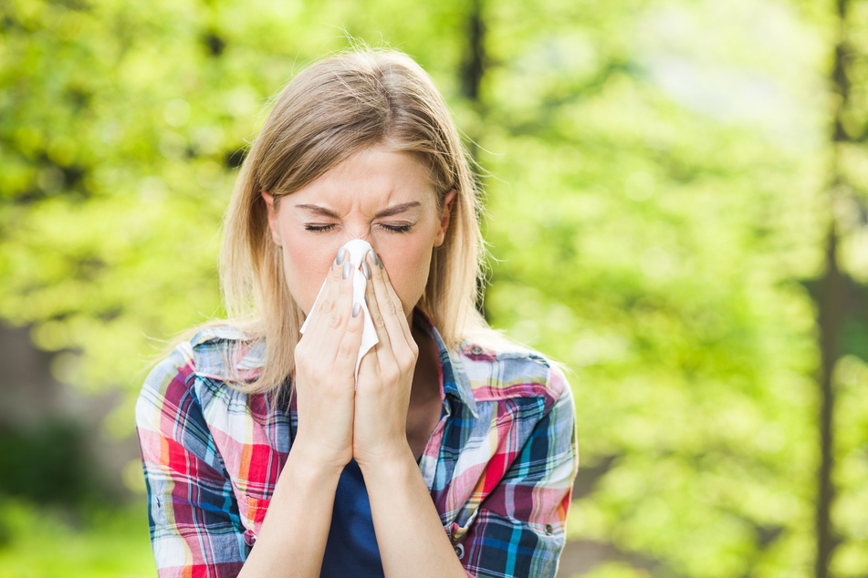 Allergiker leiden aktuell unter der ungewöhnlich hohen Pollenbelastung. (Symbolbild)