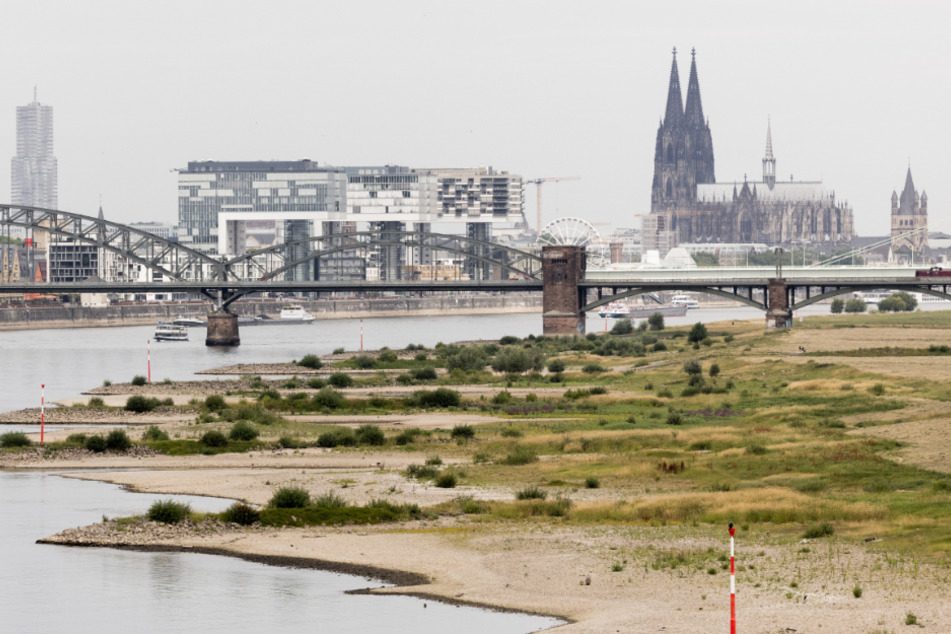 Erst im vergangenen Jahr sorgte enorme Hitze und Trockenheit für eine Verengung des Rheins.