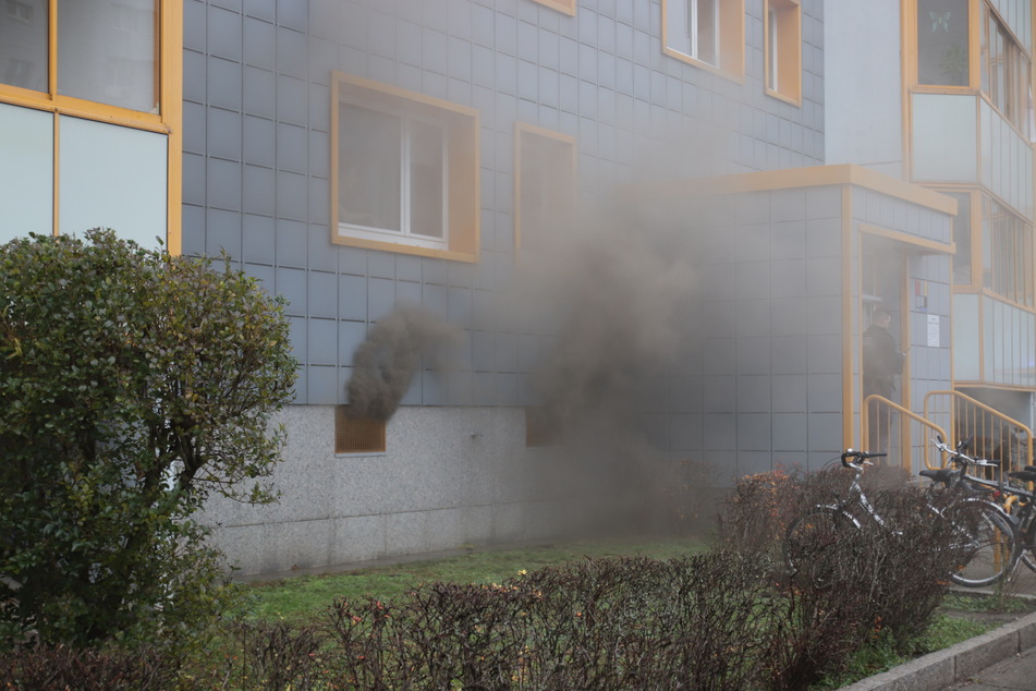 Teile einer Stromverteileranlage sowie angrenzende Kellerverschläge waren in Brand geraten.