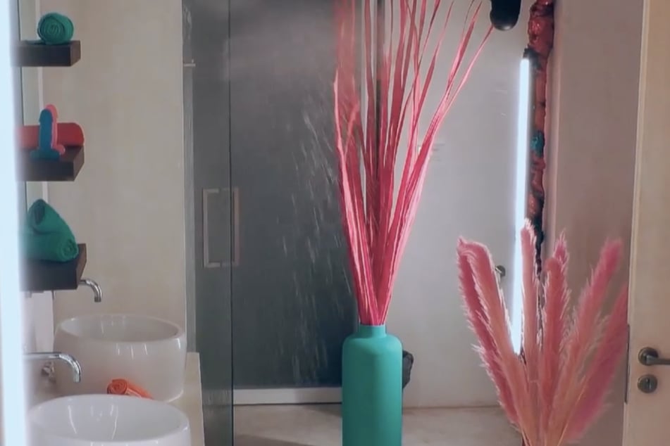 Die beiden heizen die Stimmung unter der Dusche an. Der Versuch, die Kameras mit Wasser und einer Pflanze zu verdecken, hatte einen teuren Preis zur Folge.