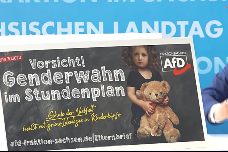Die AfD plant in Sachsen eine Plakat-Kampagne gegen "Genderwahn".