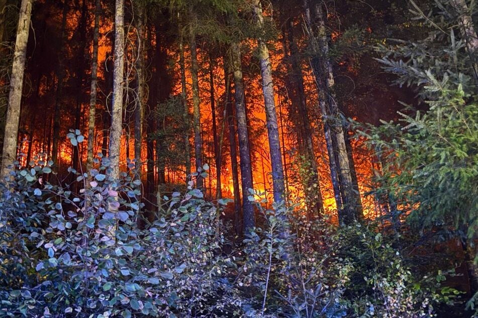 Der Brand bei Schramberg brach am Sonntag aus.