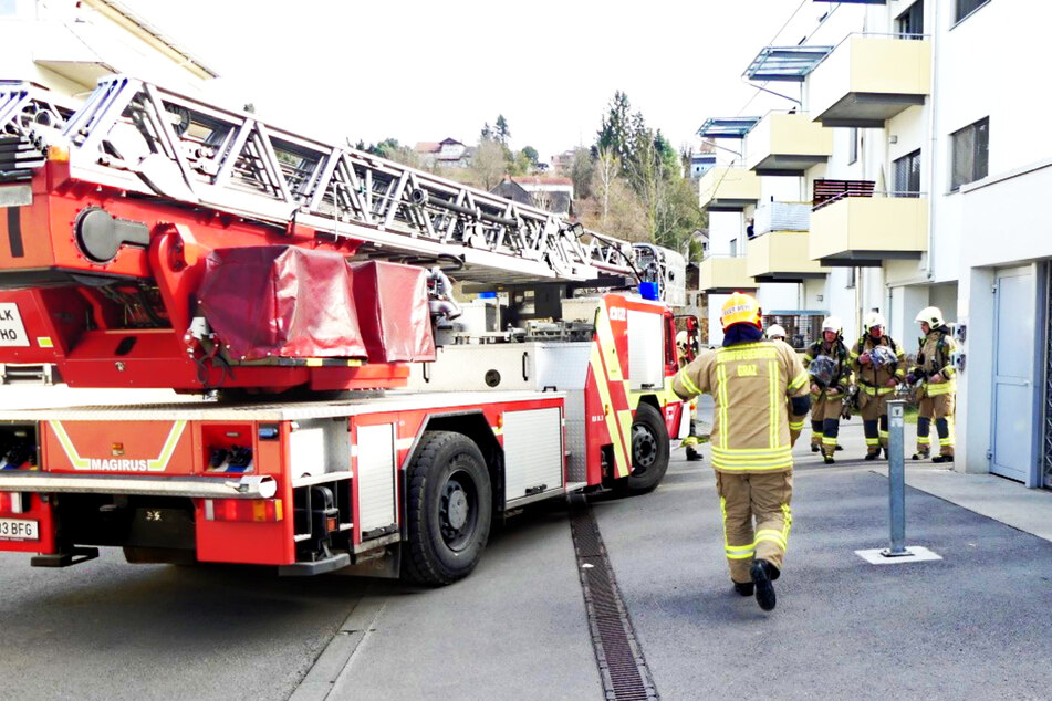 Die Feuerwehr löschte den Brand und rettete zwei Katzen.