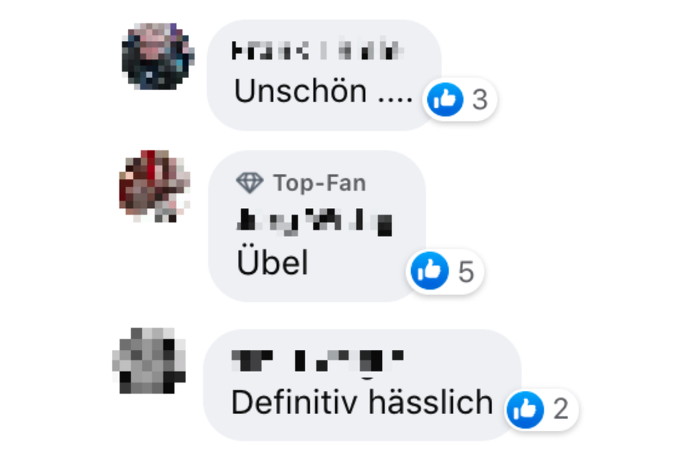Auf Facebook hagelte es heftige Kritik! Einige Auer sind mit ihrem neuen Stadtwappen nicht zufrieden.