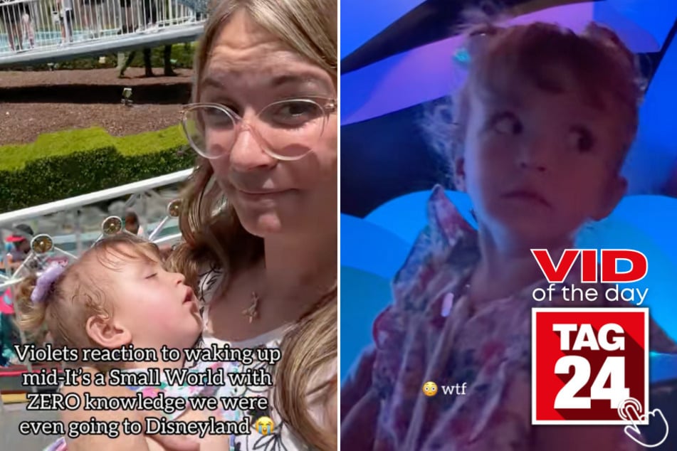This toddler's reaction to getting woken up inside Disneyland is the cutest kind of confusion!