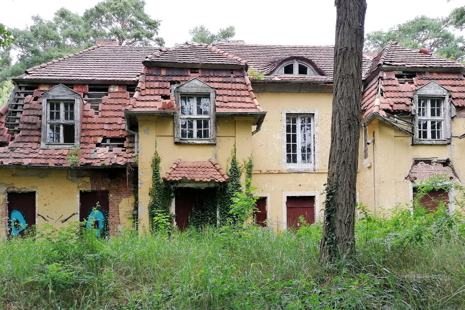 Eine verfallene Villa wird dem Abriss preisgegeben. Sachsen erbt häufig sogenannte "Schrott-Immobilien".