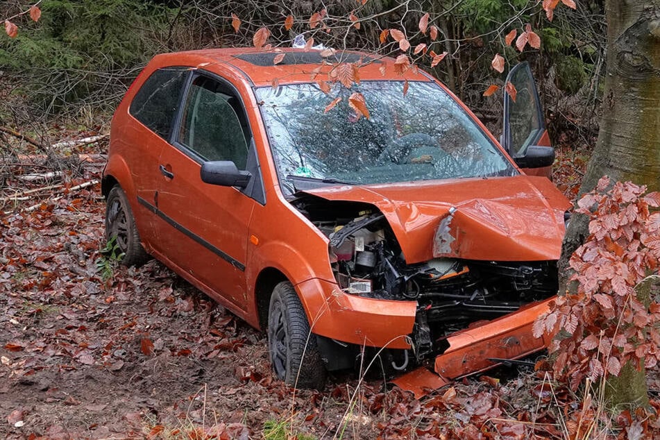 Frau knallt in Dresden mit Ford gegen Baum: Schwer verletzt