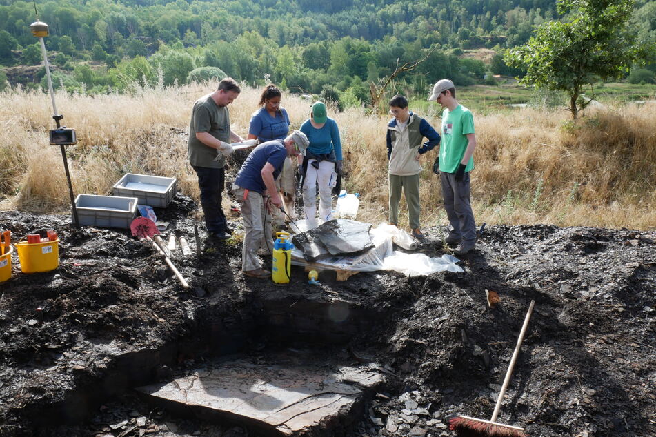 Eine Gruppe von Forschern hatte das Fossil im Sommer in einem ausgehobenen Ölschiefer-Block in der Grube Messel entdeckt.