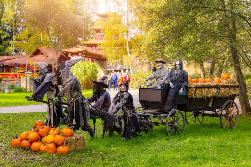Warum gibt's in diesem Park über 1.000 Kürbisse?