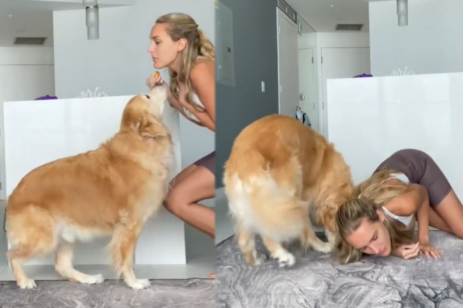 Frau testet, was ihr Hund tut, wenn sie umkippt: Reaktion bringt alle zum Lachen