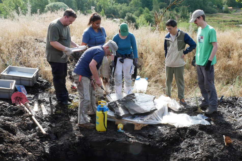 Eine Gruppe von Forschern begutachtet den ausgehobenen Ölschiefer-Block in der Grube Messel. Nach ersten Erkenntnissen könnte sich darin das Skelett eines Urpferdes befinden.