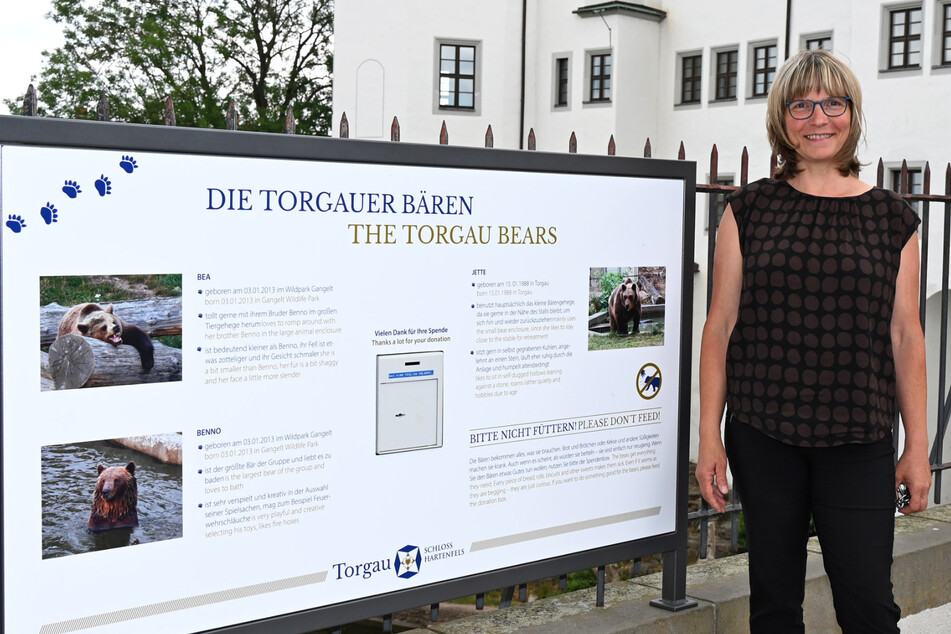 Torgau: Neue Spendenbox vor dem Bärengehege aufgestellt