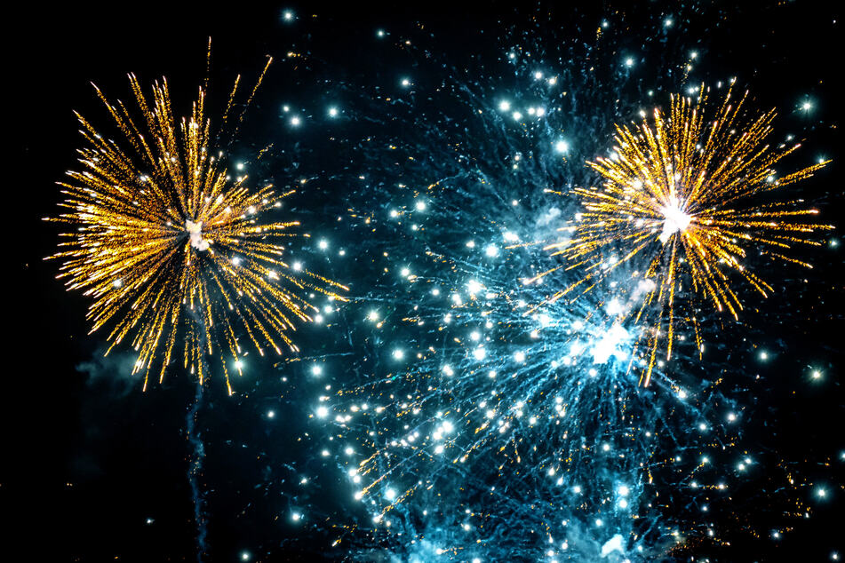 Auch die Tierschutzorganisation Tasso e.V. plädiert für ein böllerfreies Silvester. (Symbolbild)