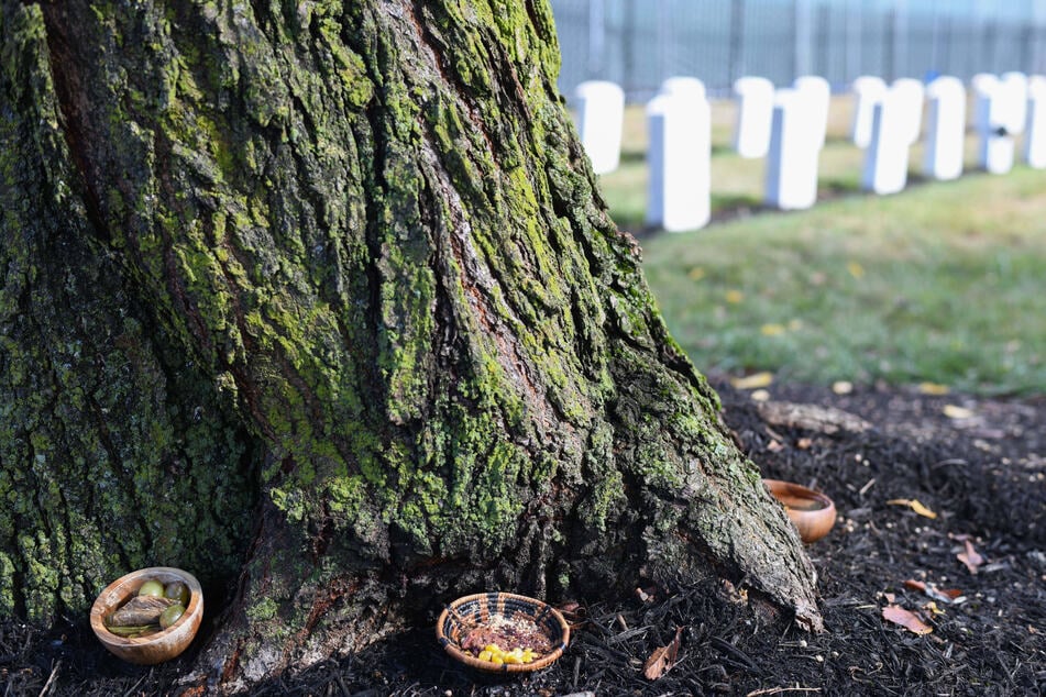 Offerings are left by a tree during a ceremony marking the disinterment of two Indigenous children who died at the Carlisle Indian Industrial School.