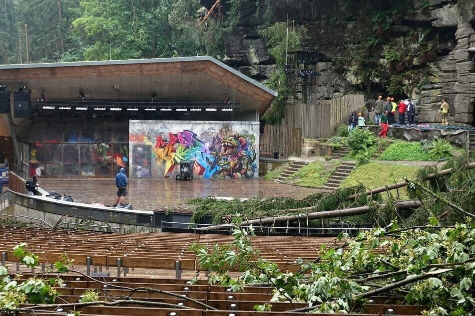 Mehrere Bäume stürzten vor zwei Wochen auf das Gelände der Felsenbühne.
