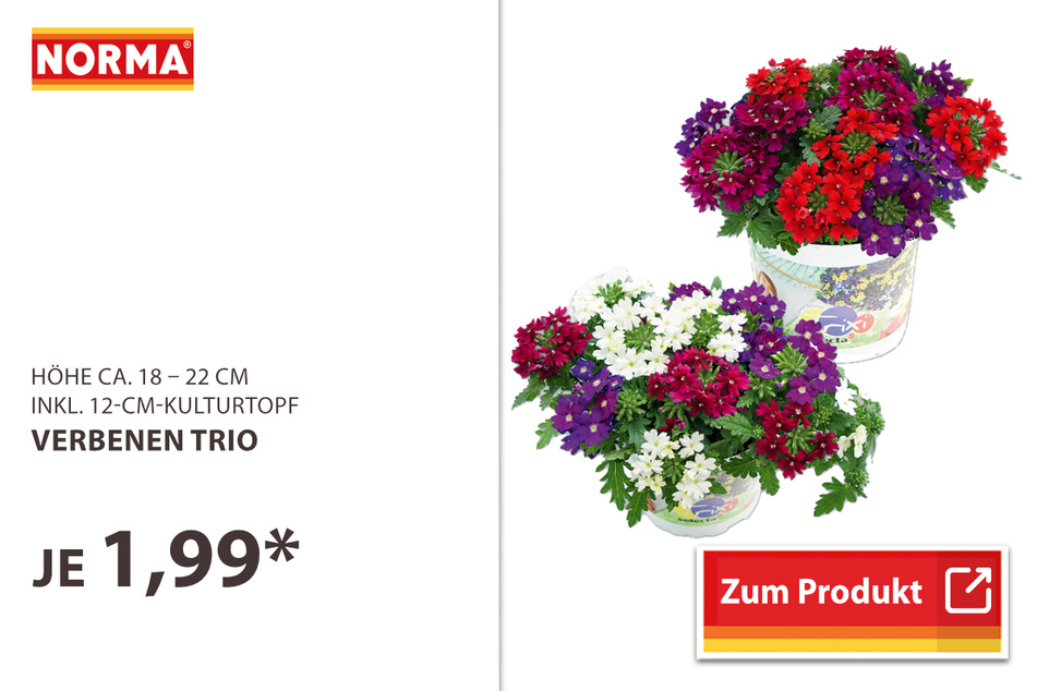 Verbenen Trio