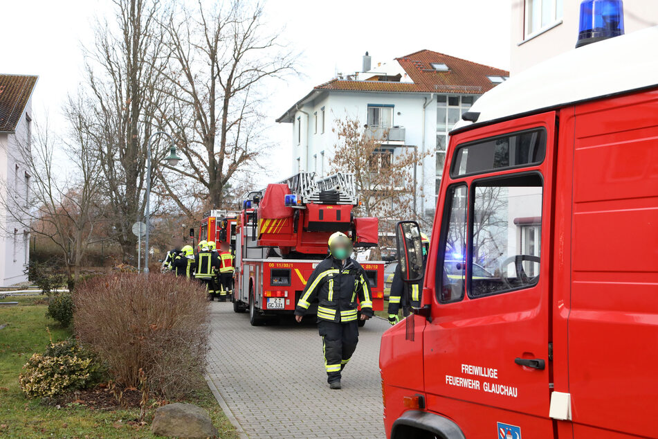Die Feuerwehr rückte mit mehreren Einsatzfahrzeugen an und löschte den Brand.