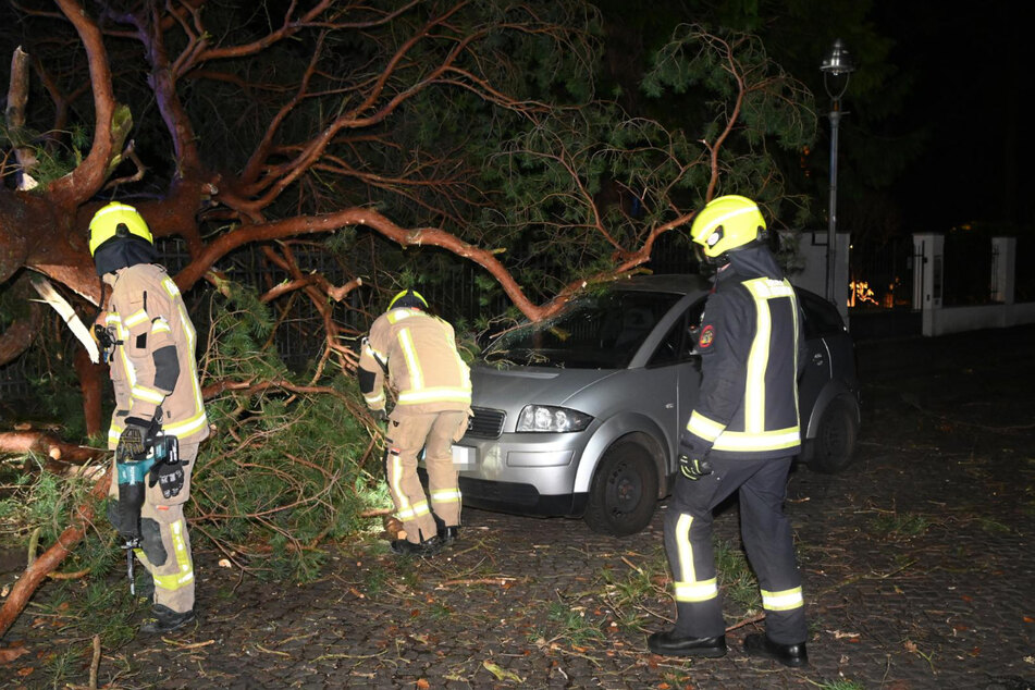 In Schmargendorf hielt ein Baum den Orkan nicht stand und krachte in ein Auto.