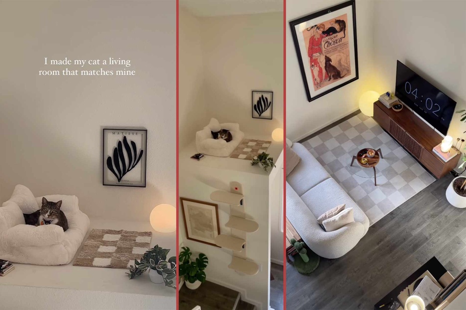 Copycat alert! Cat gets gifted miniature version of its humans' living room!