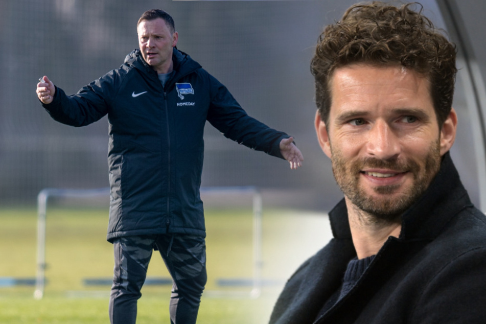 Pal Dardai (l.) soll Hertha BSC von der Abtsiegszone fernhalten. Holt Arne Friedrich noch einen Neuen?