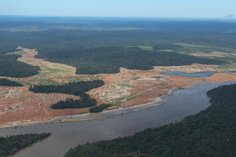 Brasilien: Entwaldete Waldflächen sind am Rande des Juruena-Nationalpark im Amazonas-Regenwald zu sehen.