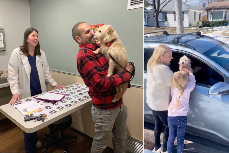 Mishka the dog is reunited with her human family thanks to the staff at the Grosse Pointe Animal Adoption Society – over 2,000 miles away from her home!