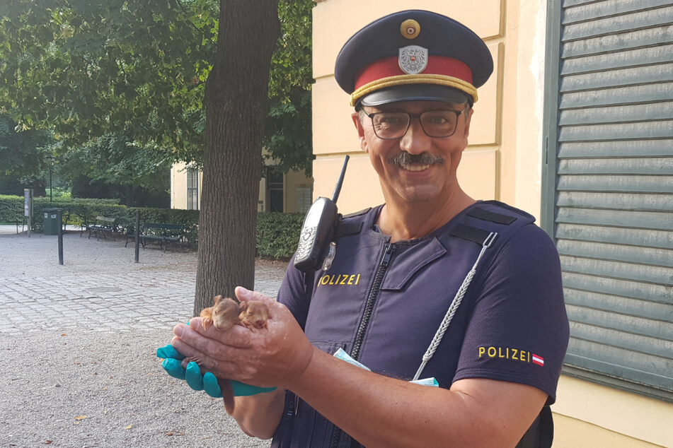 Die Polizei konnte zwei Eichhörnchen-Babys retten.